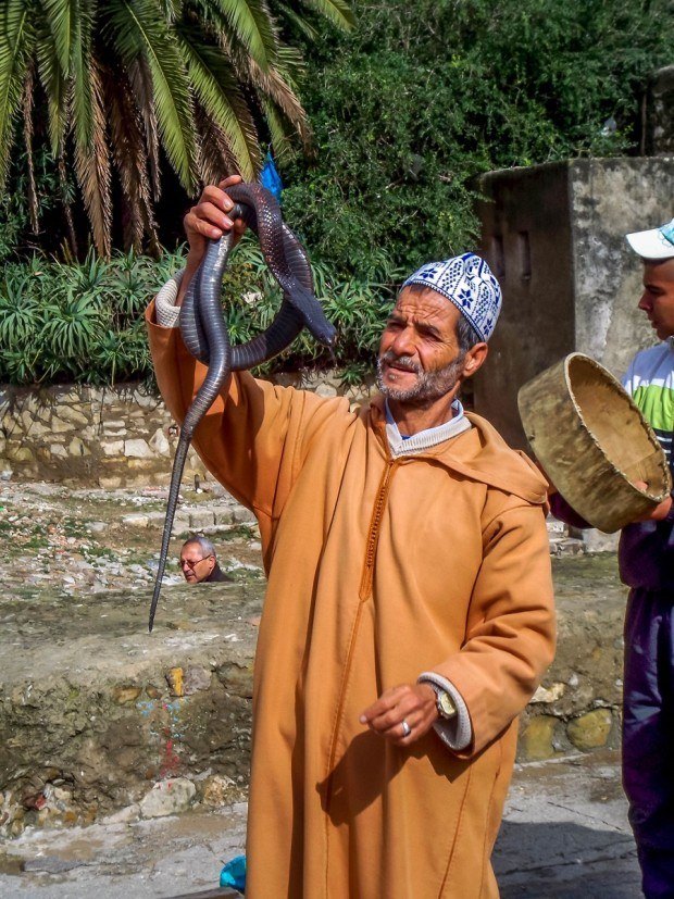 Snake charmer on a day trip from Tarifa to Tangier