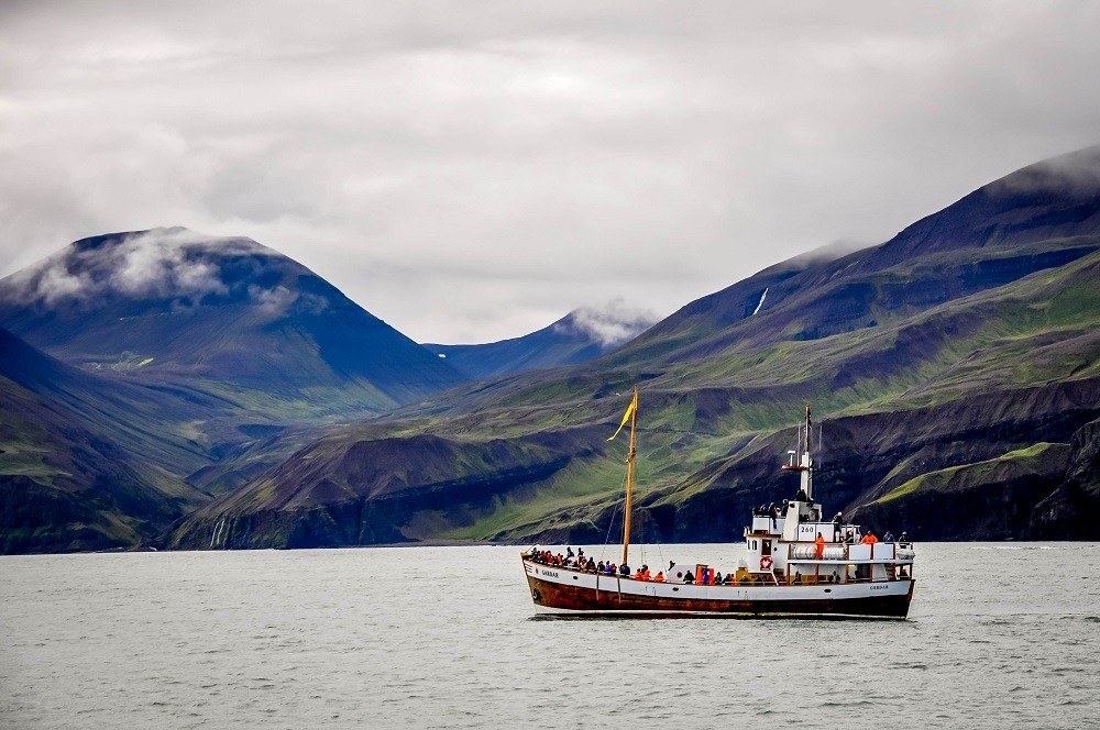 Whale watching in Husavik, Iceland.