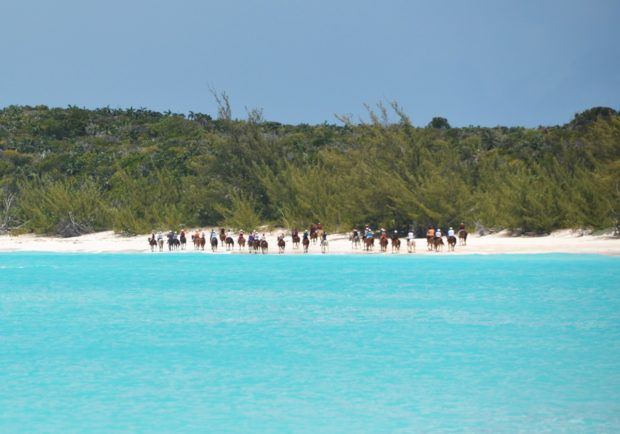 Horseback riding on the back at Half Moon Cay, Bahamas.