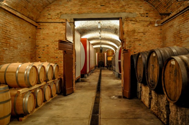 Exploring Italian Wineries During at the Cantine Aperte Wine Festival Wine cave at Fattoria Il Piano in San Gimignano during Cantine Aperte