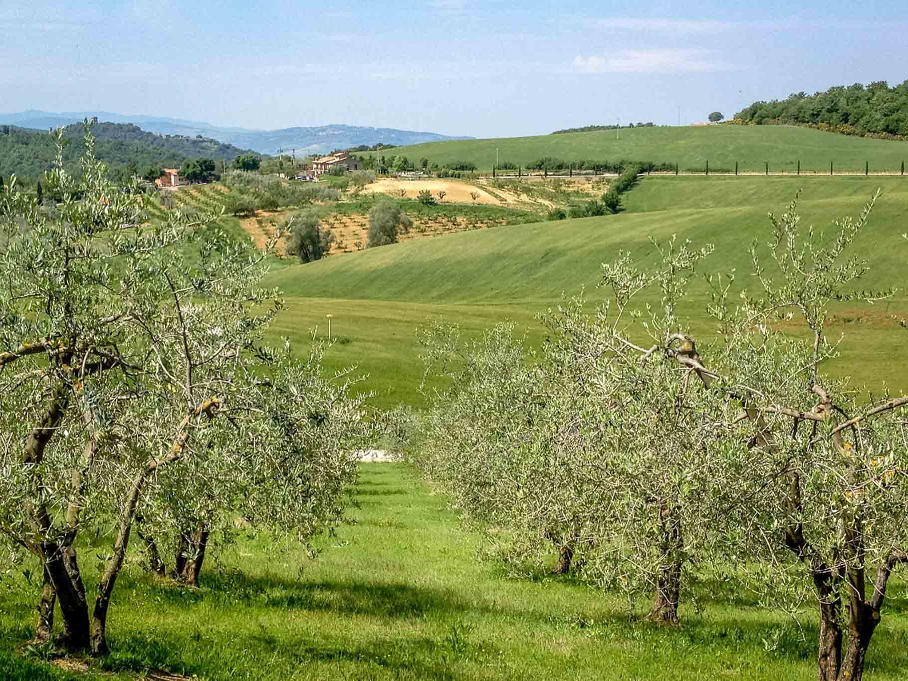 View from one of the Saturnia Italy hotels. This is actually at a Saturnia Agritourismo - a kind of working farm where you can rent rooms while you enjoy the Tuscany hot springs.
