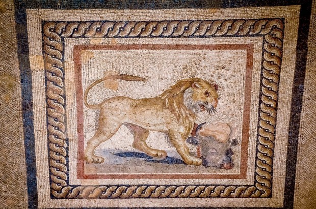 Restored lion mosaic at Ephesus