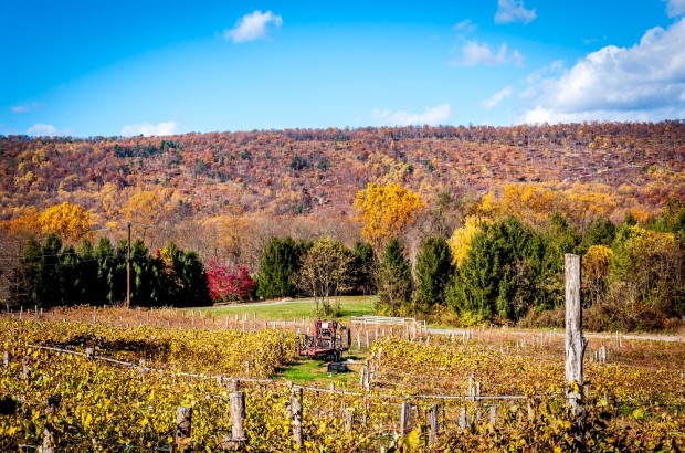 Fun Things to Do in Hershey-Harrisburg for All Ages From visiting vineyards to exploring the fun at Herskey Park, there are so many great things to do in the Hershey-Harrisburg area in Pennsylvania