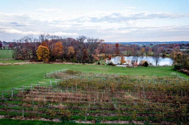Grounds of the Vineyard at Hershey