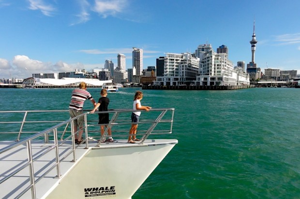 What to do in New Zealand’s largest city what-to-do-in-auckland-harbour