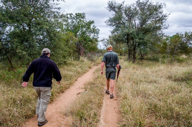 Hiking images: In Africa, we pushed the definition of hiking, or bushwalking, to the limits. As it turns out, the real benefits of hiking extended beyond the exercise and we were able to see some amazing animals.