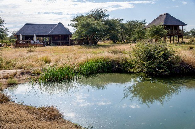 At nThambo Tree Camp in South Africa, the benefits of going green are clear because you're in the middle of nature