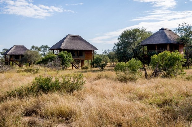 Enjoying the Eco-Friendly nThambo Tree Camp The chalet's at nThambo Tree Camp.