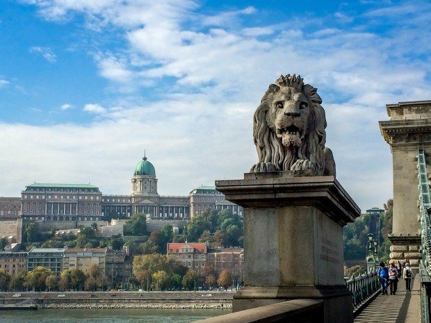 The Lions on the Chain Bridge, with Castle Hill and the Budapest funicular in the background.