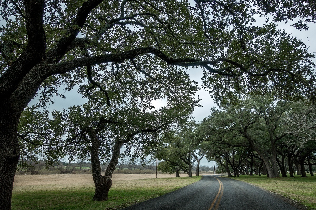 Make your week end plan! Getting away for a vacation weekend can help you refocus in your daily life.