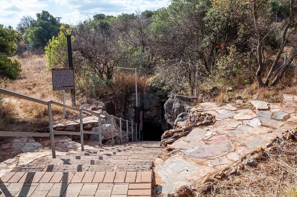 cradle of humankind