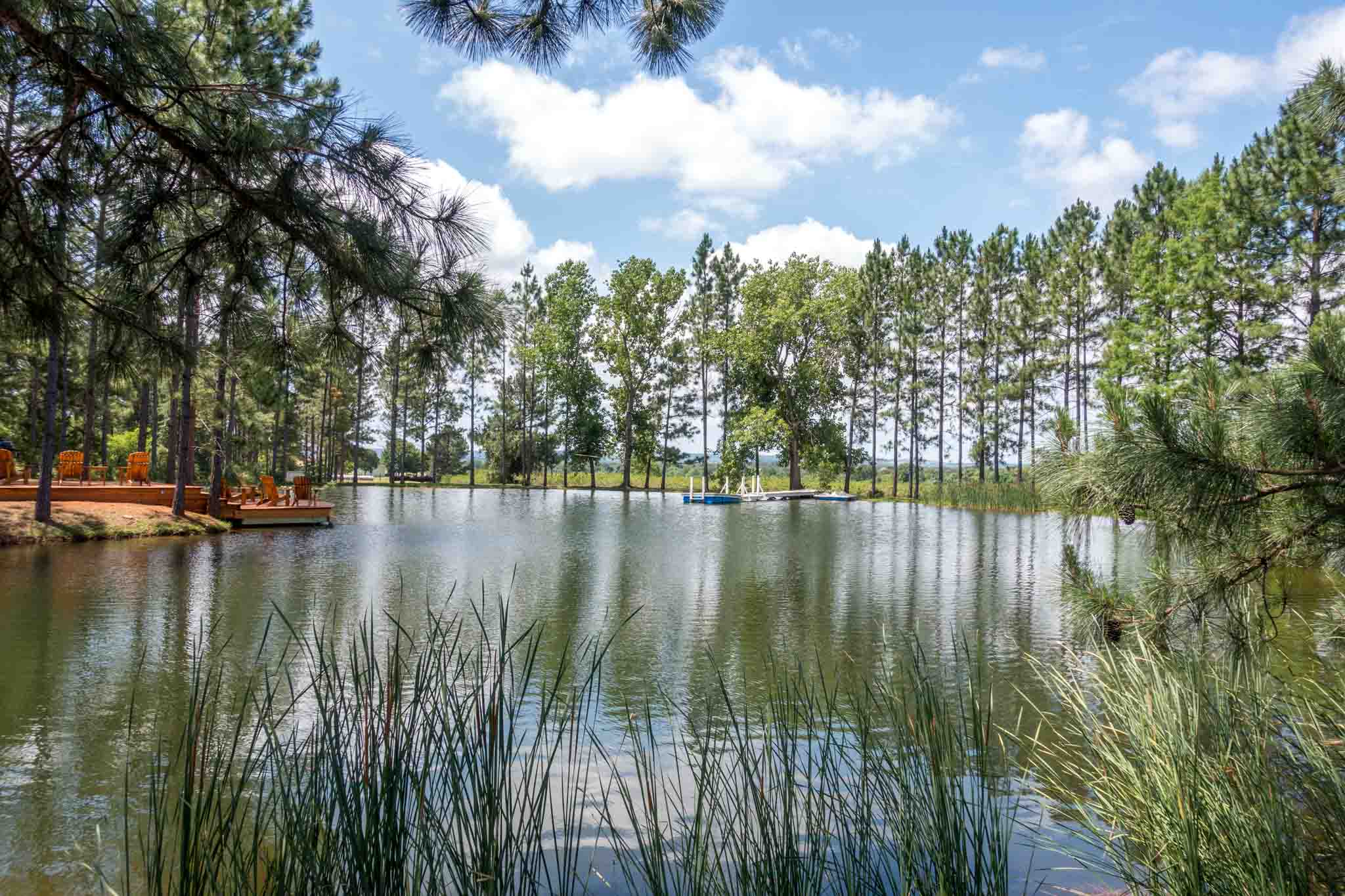 The beautiful Texas Hill Country
