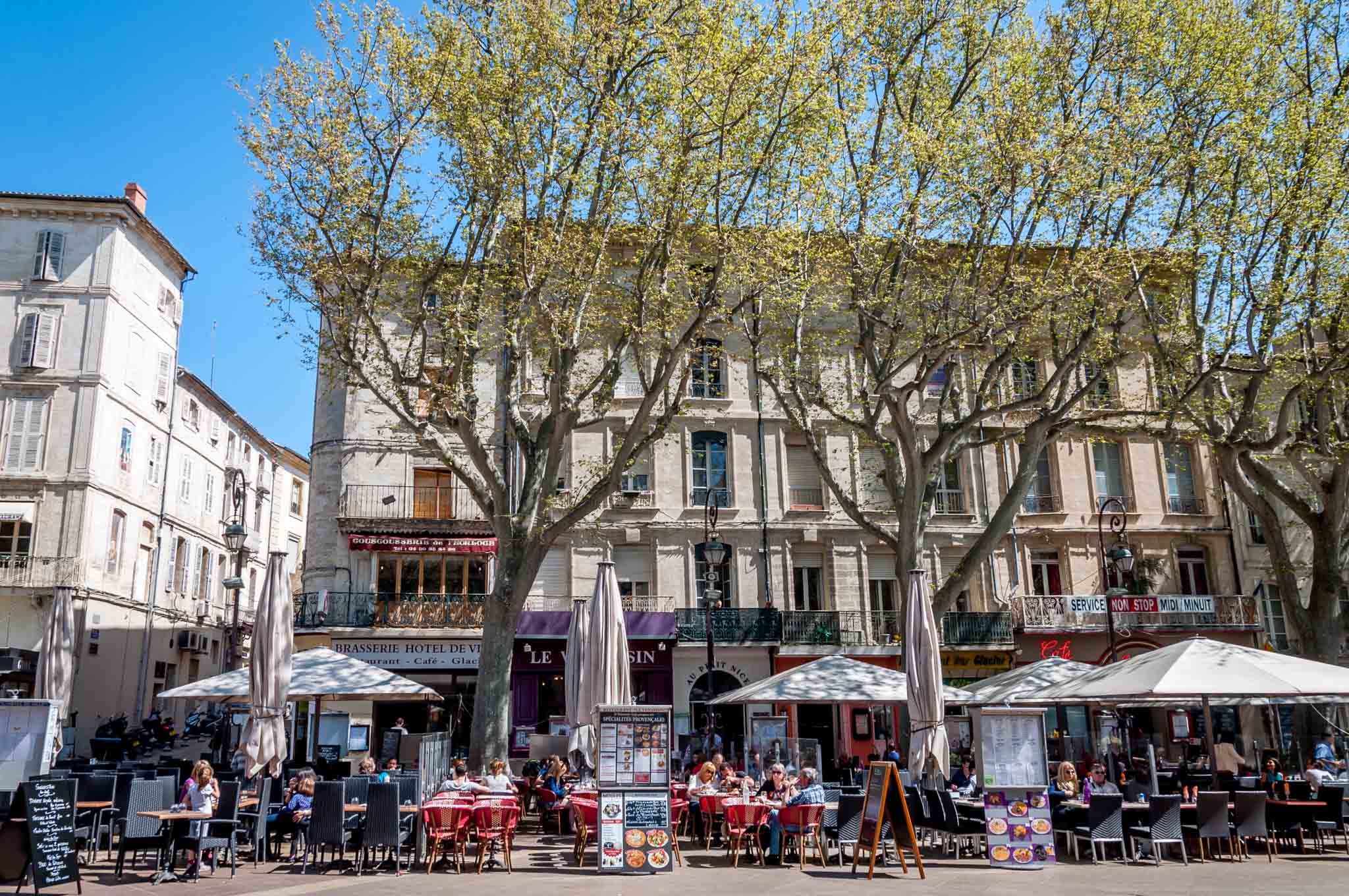 A visit to Place de l’Horloge is what to do in Avignon, France