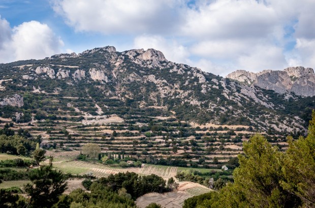 A Day on the Cotes du Rhone Wine Road Vineyards and mountains of France's Cotes du Rhone