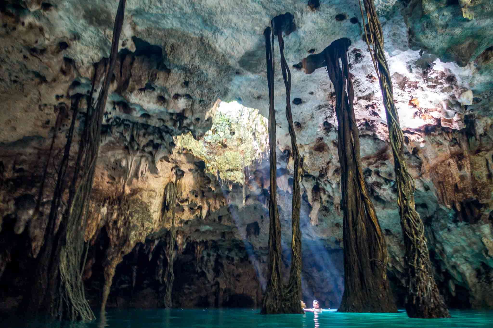 Inside a cave cenote near Cancun, Mexico. It's one of four cenotes we explored on our tour with Xenotes Oasis Maya.