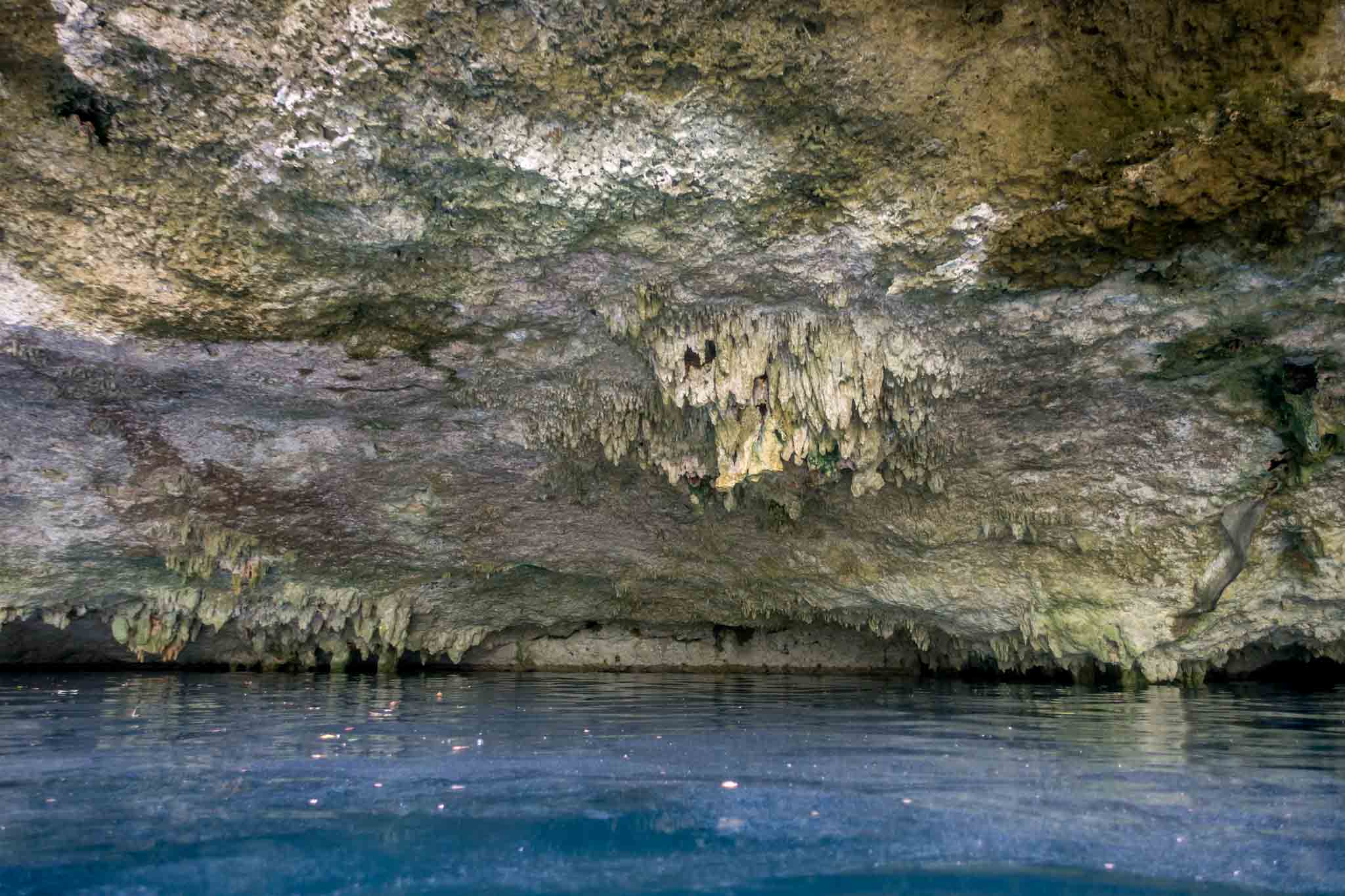 Stalactites above the brilliant blue water of the semi-open cenote on the Xenotes Oasis Maya tour