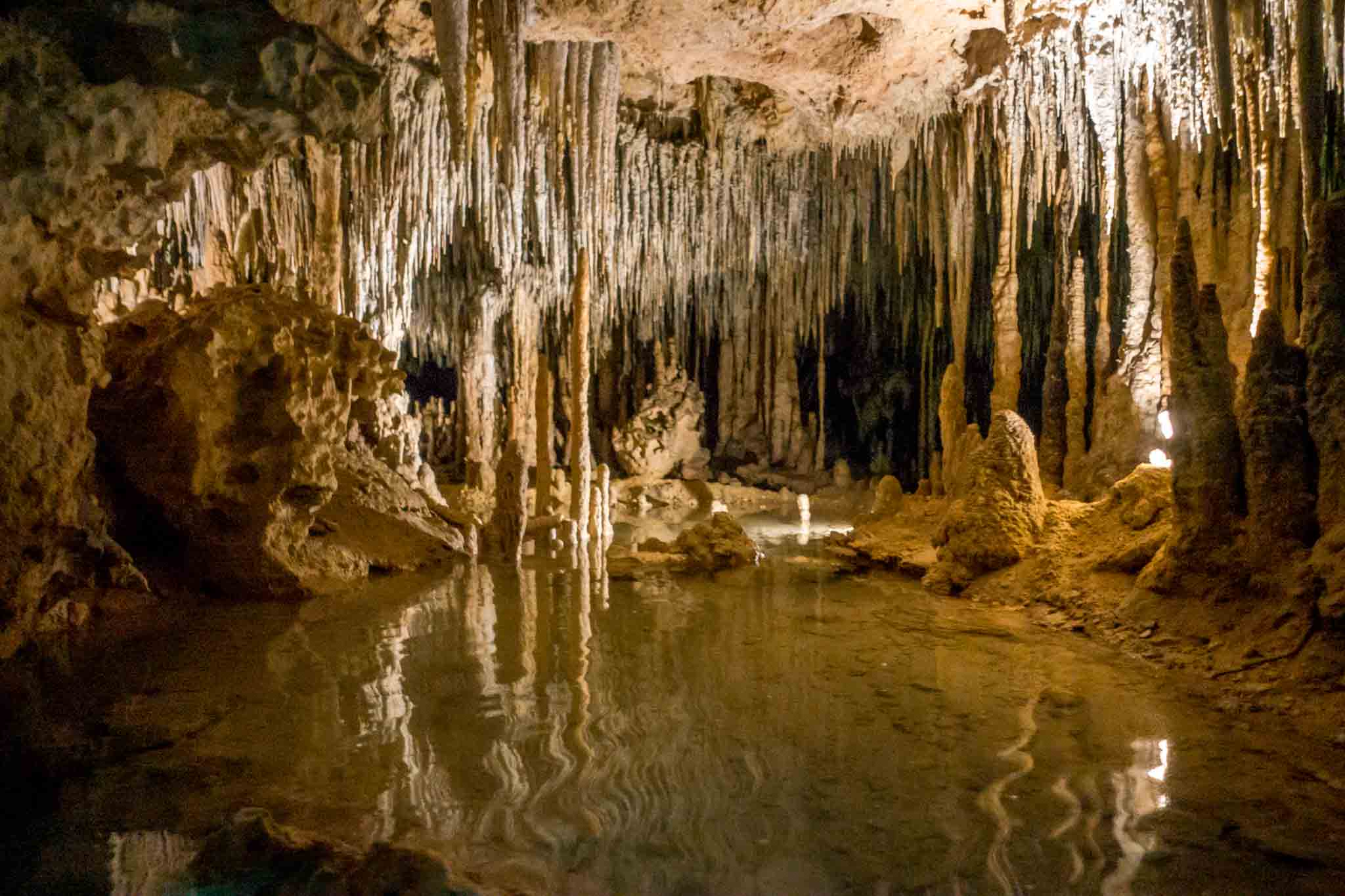 The stalactites in the underground rivers at Xplor in Mexico began forming over a million years ago.