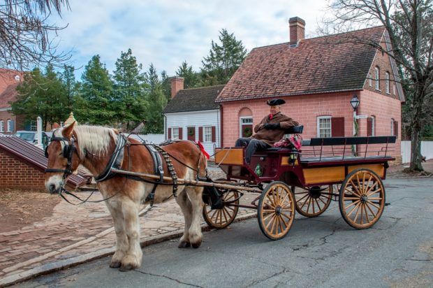 Take a carriage ride around Old Winston Salem, NC