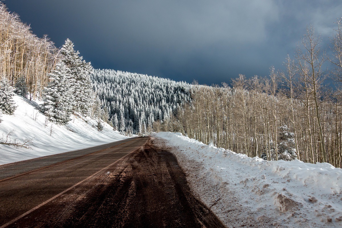 Fresh snow covering the trees in the Santa Fe National Forest