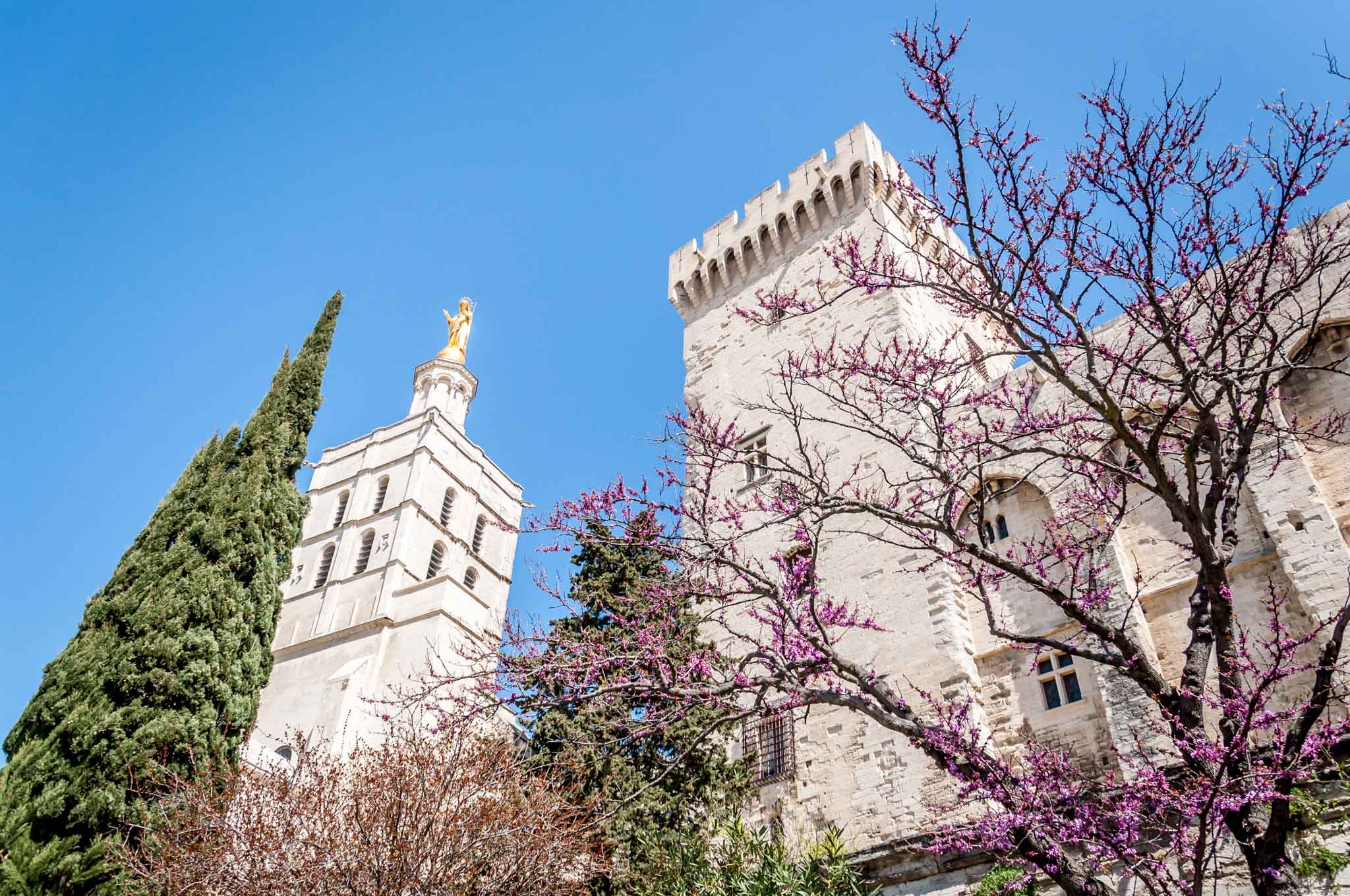 White exterior of Avignon's Palace of the Popes with trees in front