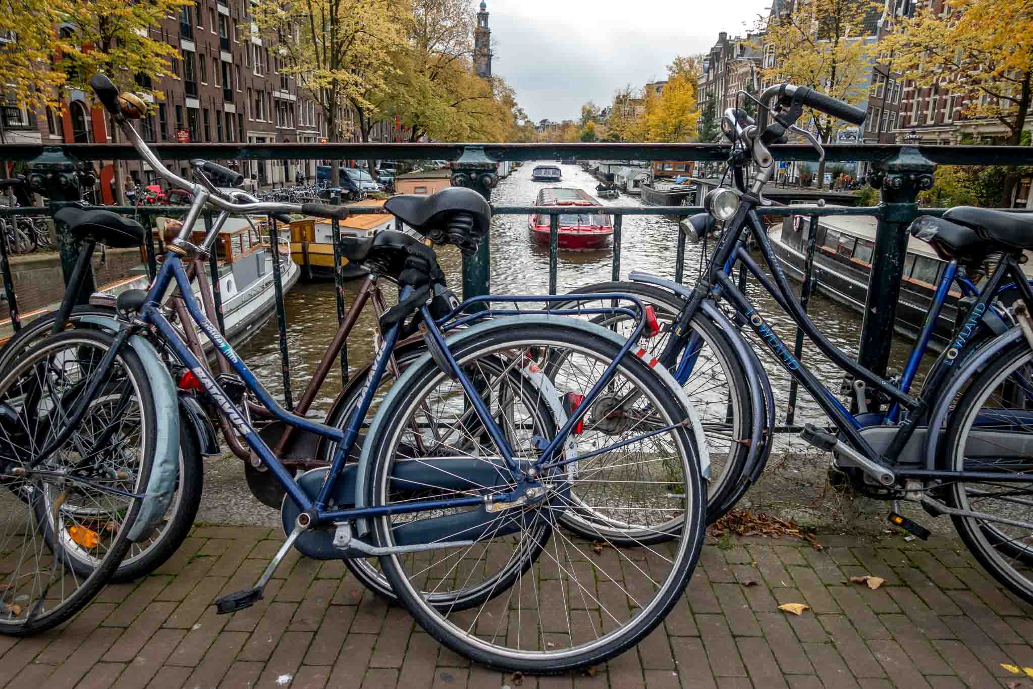 Biking instead of driving is one of the easy ways to go green