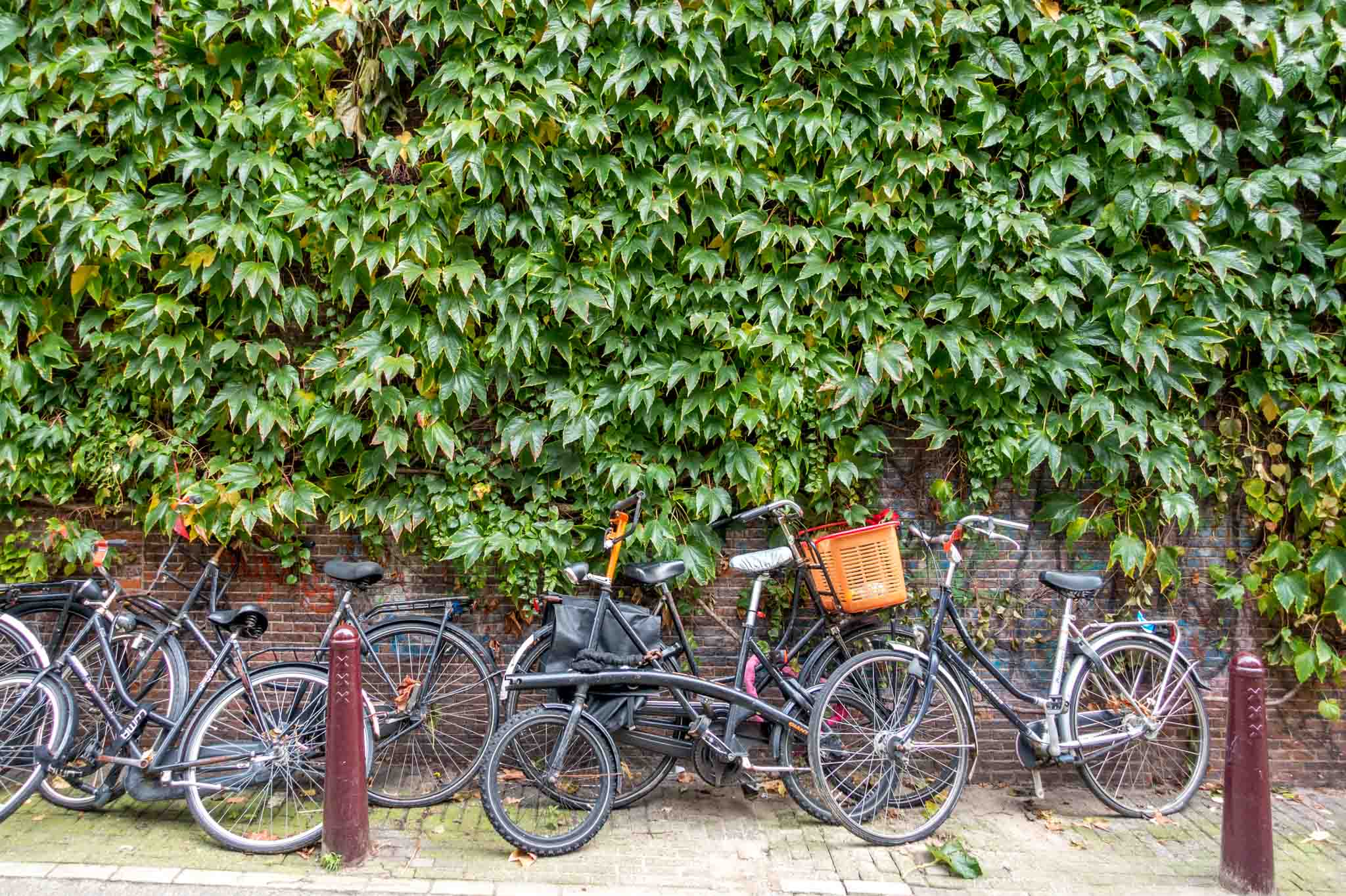 Bikes leaned up against the wall
