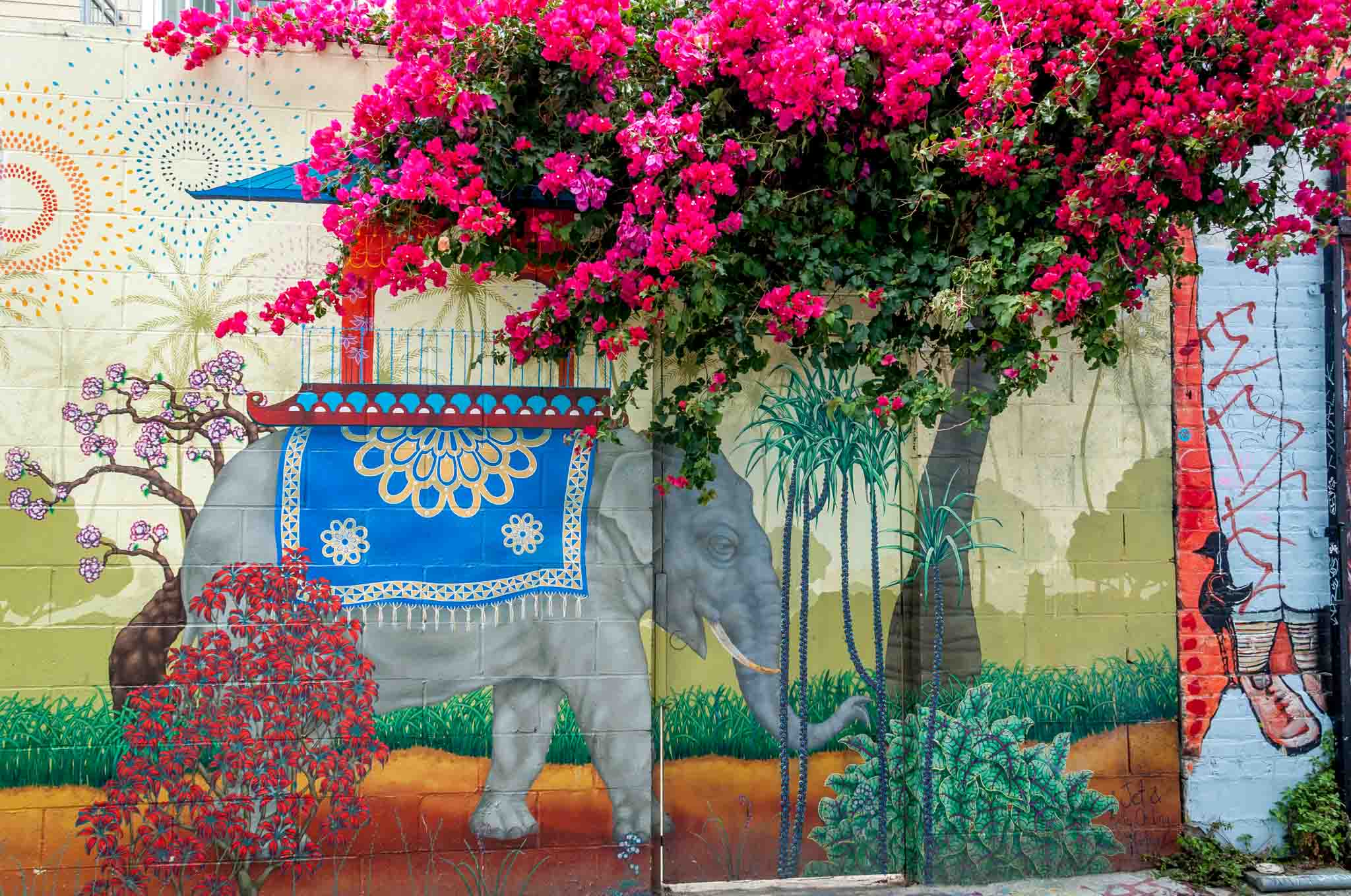 Elephant mural in Clarion Alley that combines with a tree with pink flowers