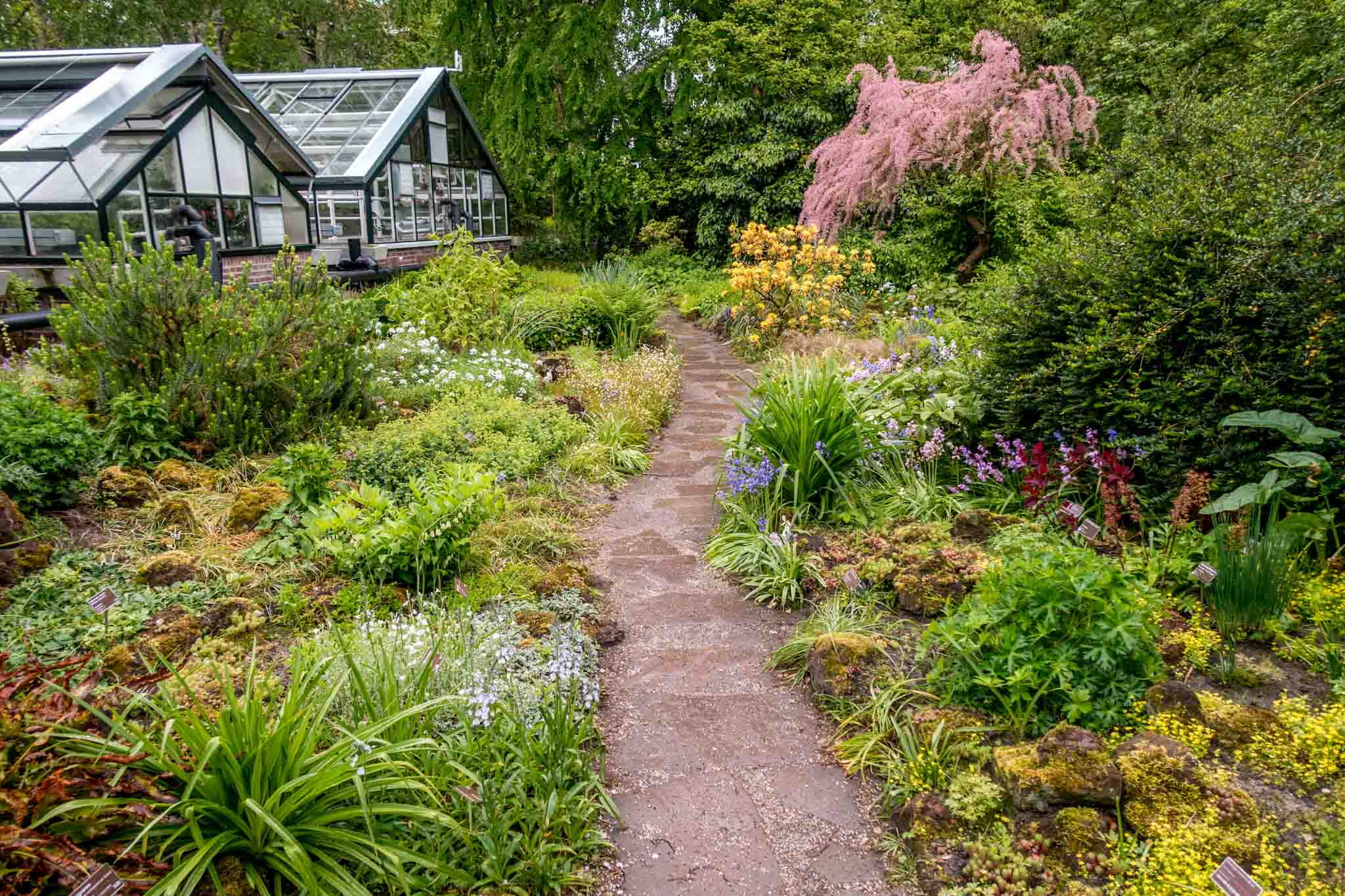 The Hortus Botanicus is filled with 6000 species of plants and trees and is where to visit in Amsterdam for lovers of the outdoors