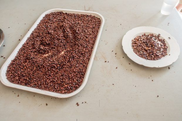 Sorting cacao nibs at the Chocal chocolate cooperative in Puerto Plata, Dominican Republic