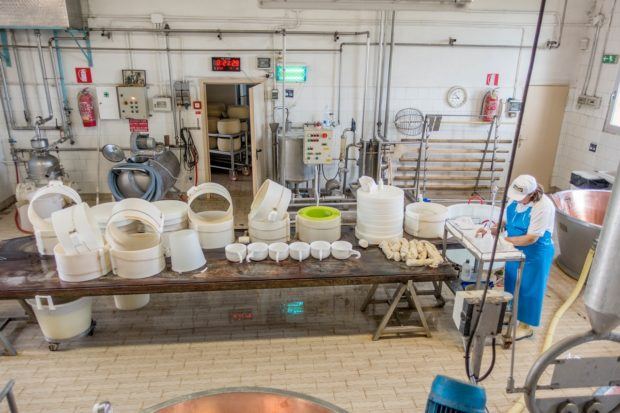 Inside a Parmigiano-Reggiano dairy in Parma, Italy