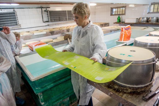 The cheese is stamped with the date and code of the dairy before a saltwater bath
