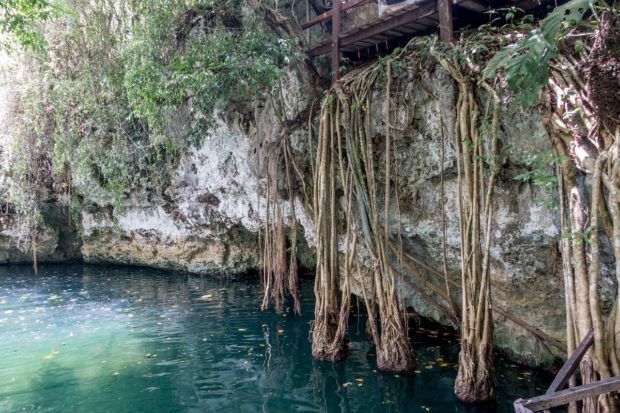 Cenote Verde Lucero is an open cenote.