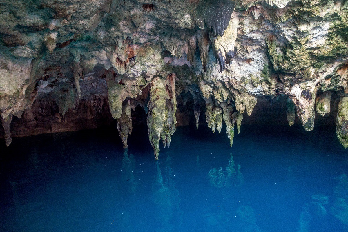 Cenote la Noria on the Ruta de los Cenotes trail on the Riviera Maya.