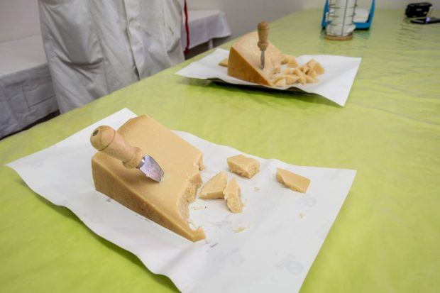 Parmigiano-Reggiano aged for 22 and 40 months