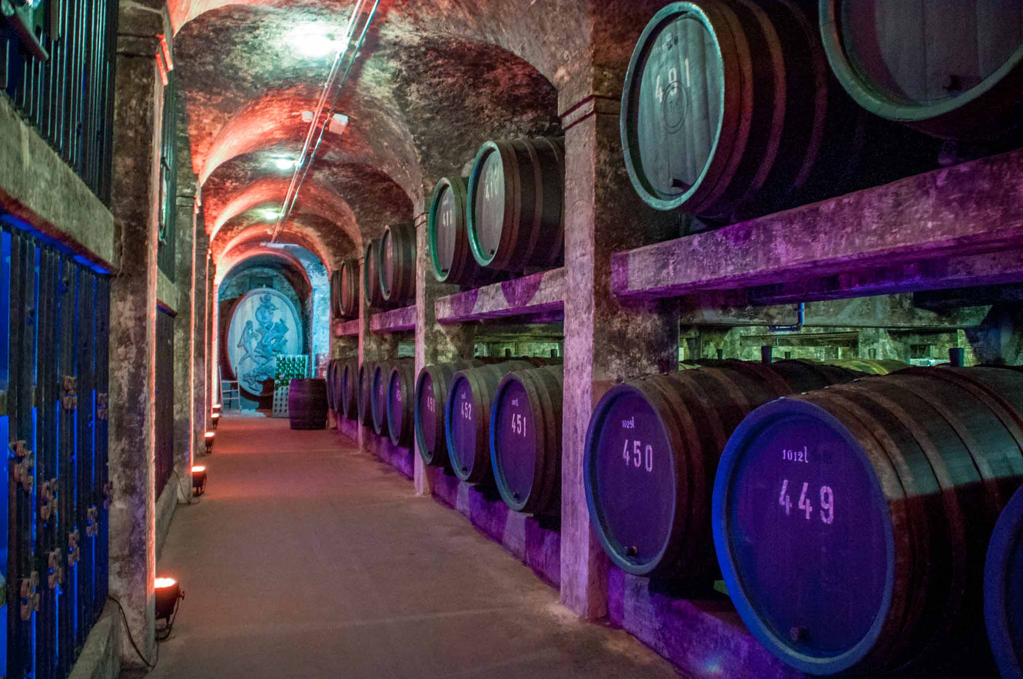 The wine cellar underneath Bremen Town Hall is 600 years old