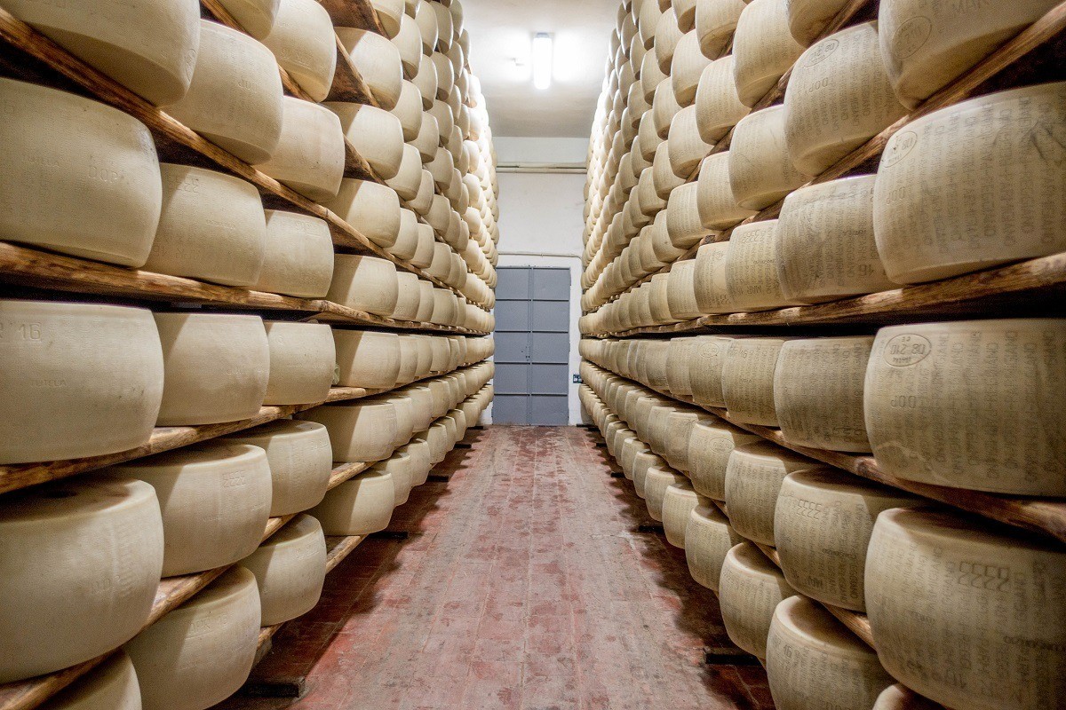 Wheels of Parmigiano-Reggiano on shelves in Parma, Italy