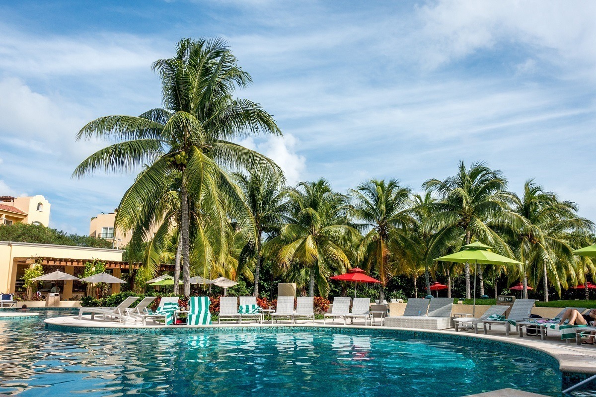 Palm trees by the Hacienda Tres Rios pool
