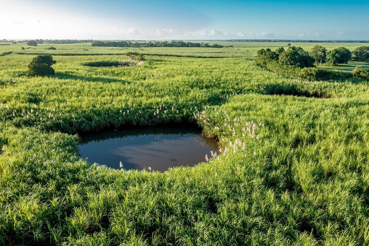 Fields and ponds in Dominican Republic