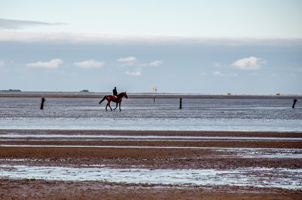 A lone horseback rider out on the salt flats of the Wadden Sea National Park near Cuxhaven, Germany.