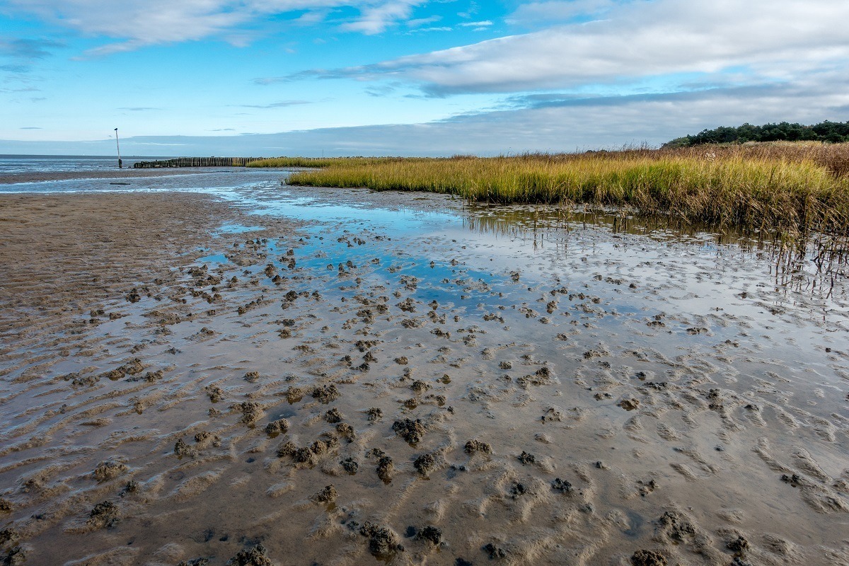 The beauty of the salt flats and sand dunes at the Wadden Sea National Park outside of Cuxhaven, Germany.