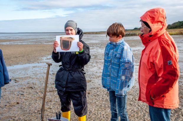 Our guide Ronja leading our expedition to dig for worms in the Wadden Sea.
