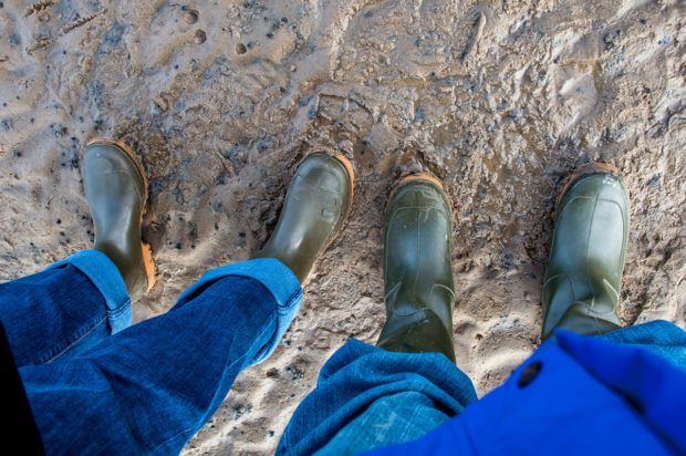 Mud boots are important gear for exploring the Wadden Sea salt flats.