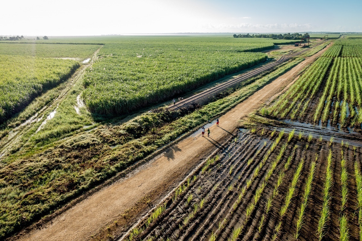 People standing on a dirt road between fields
