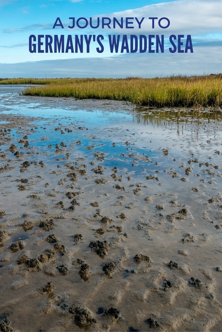 The Wadden Sea National Park, a UNESCO World Heritage Site, on Germany's northern coast is a critical habitat for birds and another animals.