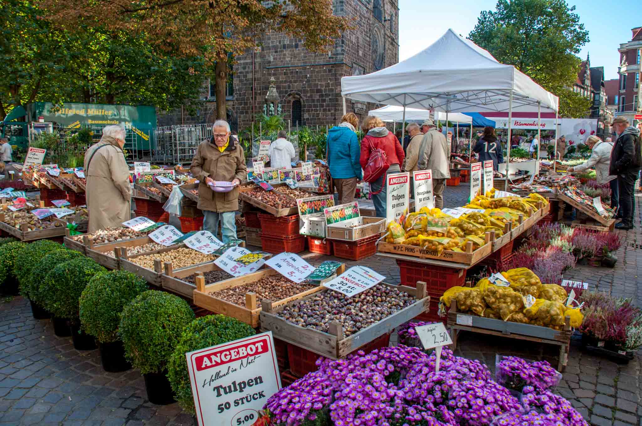 People shopping for flowers and bulbs in front of the Church of Our Lady. Visiting the flower market here is what to do in Bremen Germany if you love markets