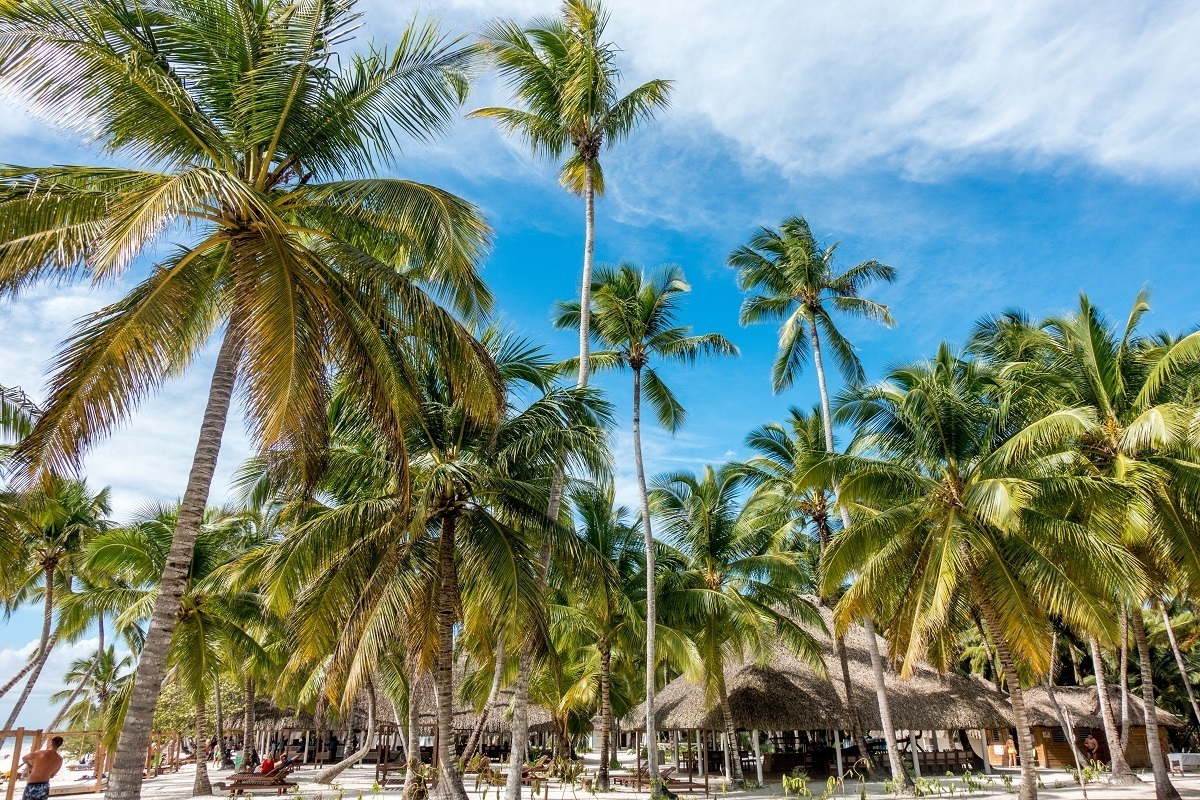 Saona Island is a great day trip from Punta Cana, Dominican Republic