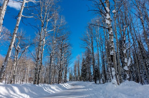 A Wintry Escape for A Steamboat Skiing Adventure A great wintry escape for a Steamboat skiing adventure!