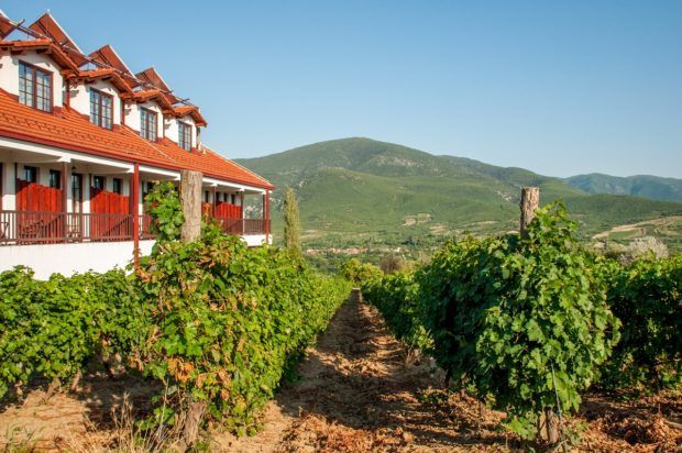 Exploring Macedonian wines at the Popova Kula winery
