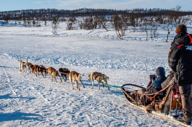 A Dog Sledding Adventure Above the Arctic Circle Dog sledding in Tromso, Norway