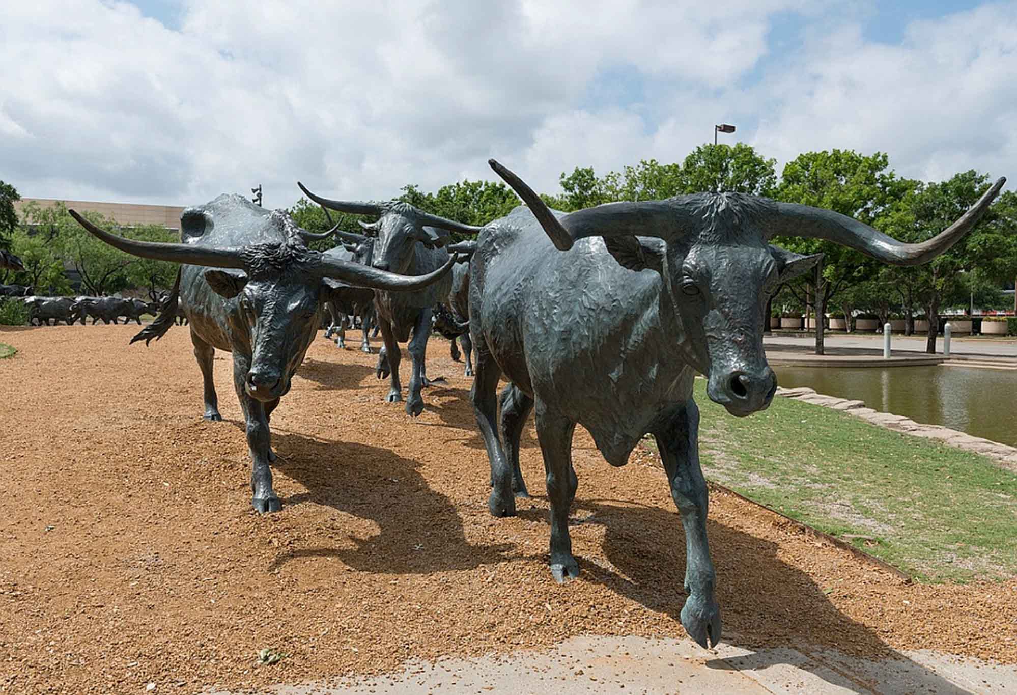 Longhorn sculptures at Pioneer Plaza